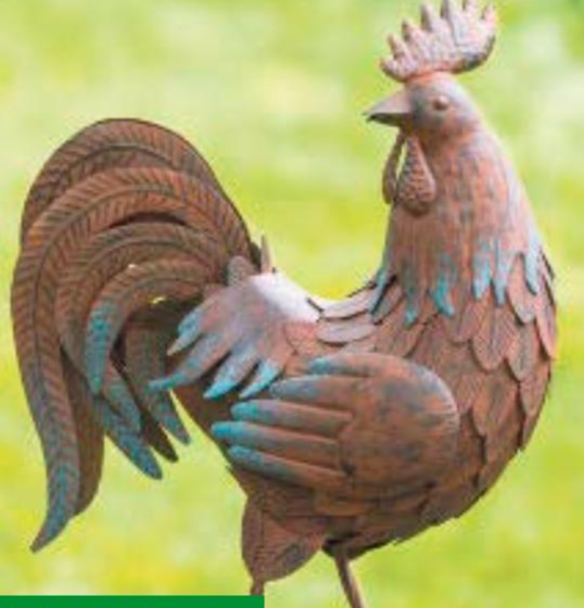 Pijetao 34 x 19 x 47 cm - Akcija u trgovini Grama