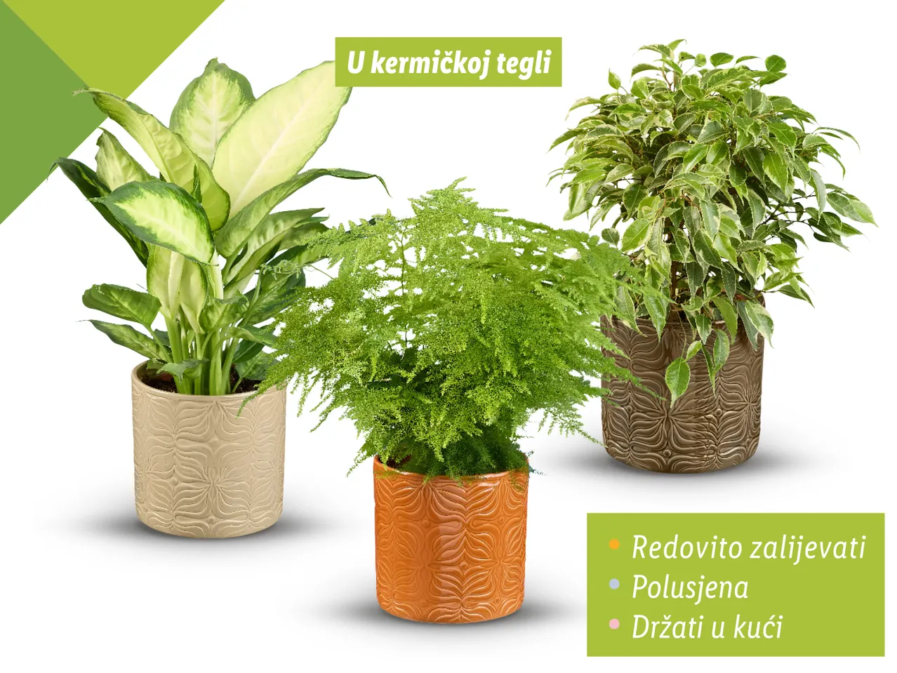 Zeleni mix - Akcija u trgovini Lidl