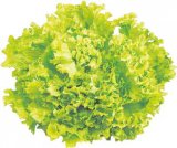 Salata kristal - Akcija u trgovini KTC