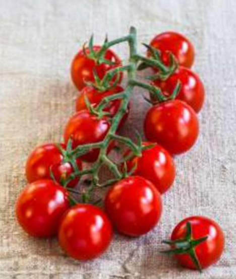 Rajčica 'Solena Sweet Passion' Volmary - Akcija u trgovini Bauhaus