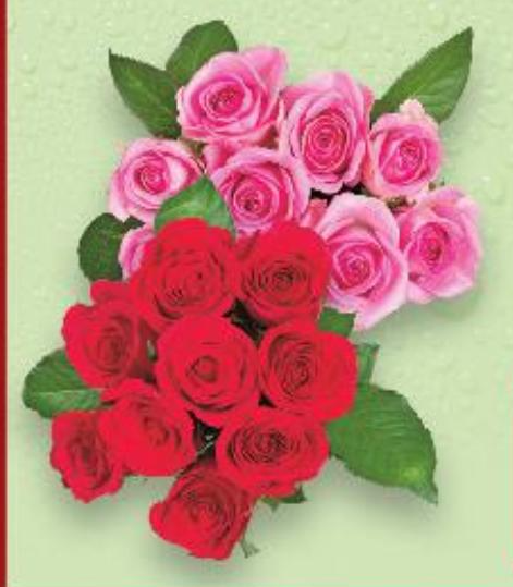 Buket ruža 40 cm - Akcija u trgovini Kaufland