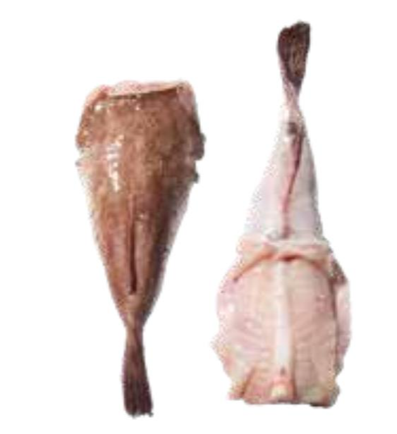 Svježa grdobina cca 500 g - Akcija u trgovini Lidl